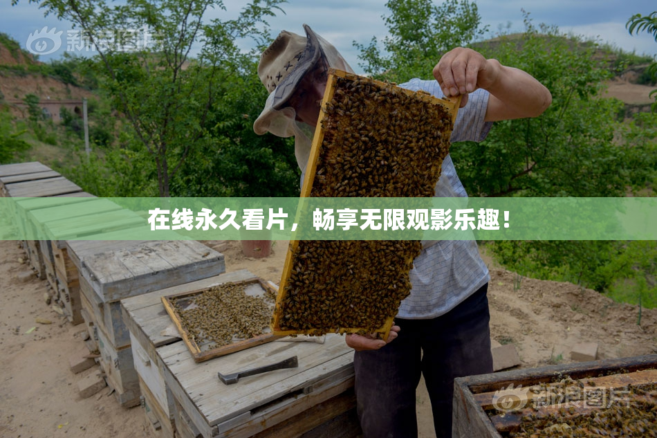在线永久看片，畅享无限观影乐趣！