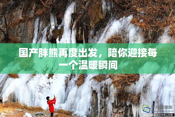 国产胖熊再度出发，陪你迎接每一个温暖瞬间
