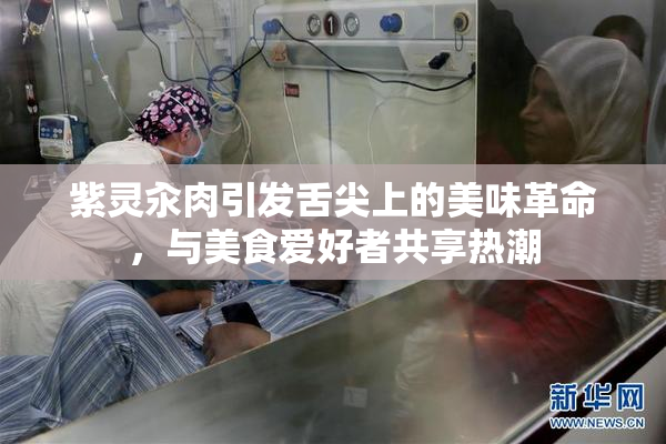 紫灵汆肉引发舌尖上的美味革命，与美食爱好者共享热潮