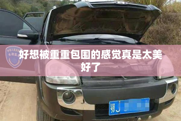 好想被重重包围的感觉真是太美好了