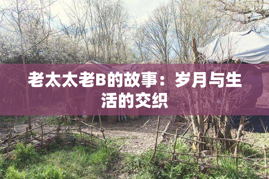 老太太老B的故事：岁月与生活的交织