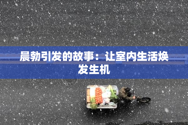 晨勃引发的故事：让室内生活焕发生机