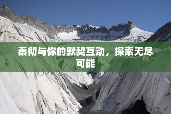 秦彻与你的默契互动，探索无尽可能