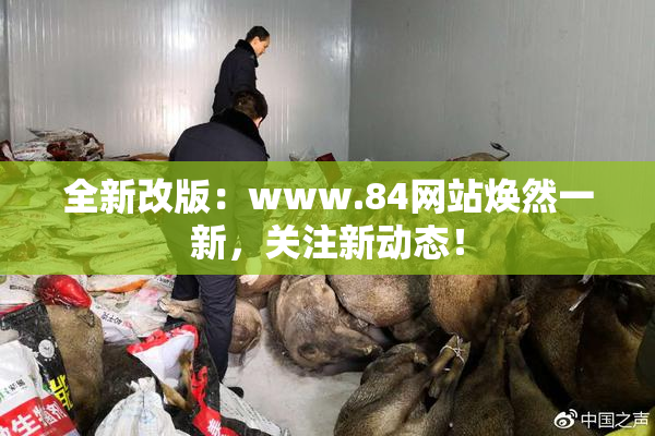 全新改版：www.84网站焕然一新，关注新动态！