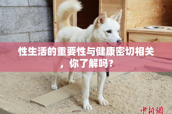 性生活的重要性与健康密切相关，你了解吗？