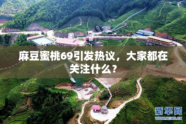 麻豆蜜桃69引发热议，大家都在关注什么？