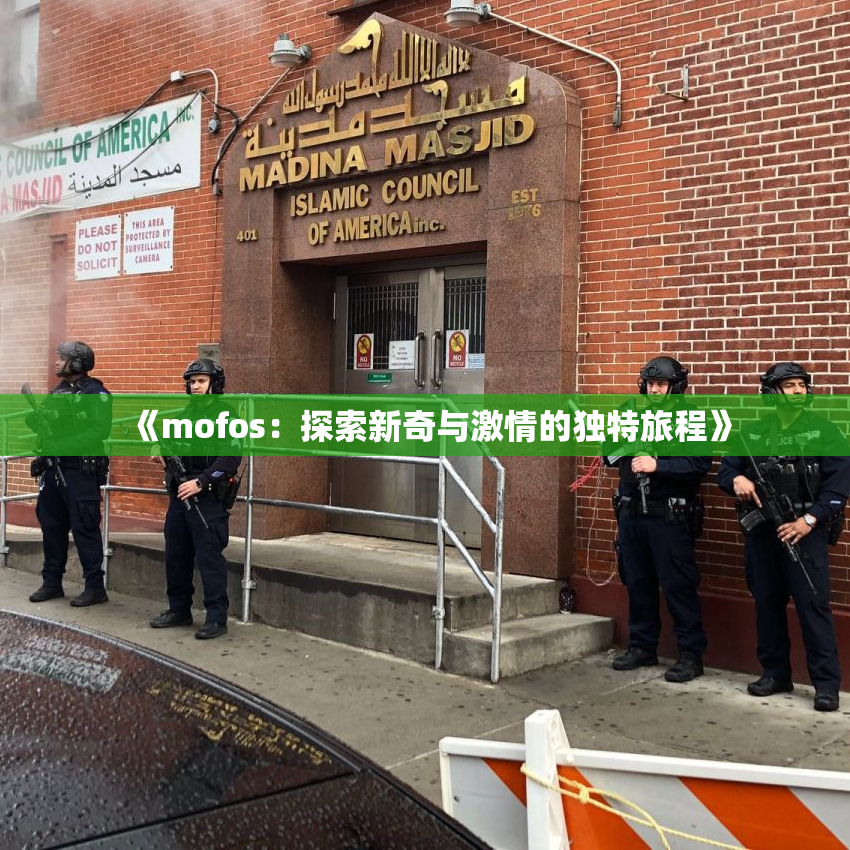 《mofos：探索新奇与激情的独特旅程》