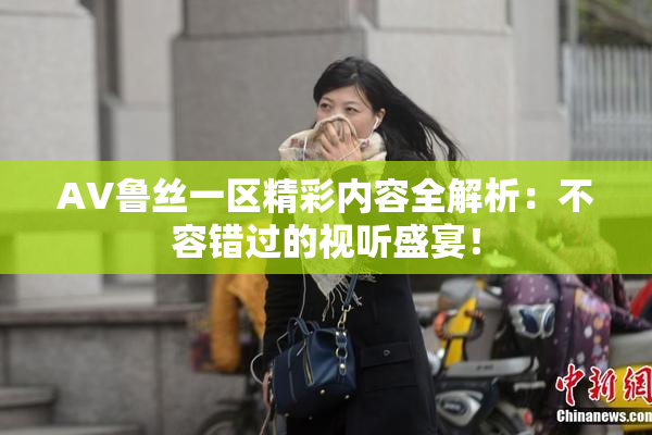 AV鲁丝一区精彩内容全解析：不容错过的视听盛宴！
