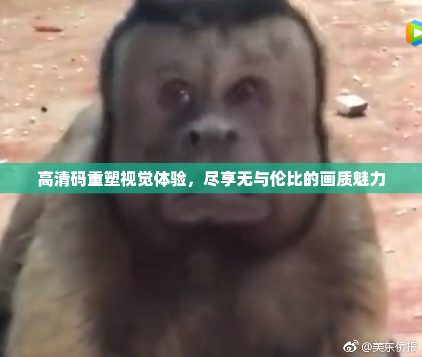 高清码重塑视觉体验，尽享无与伦比的画质魅力