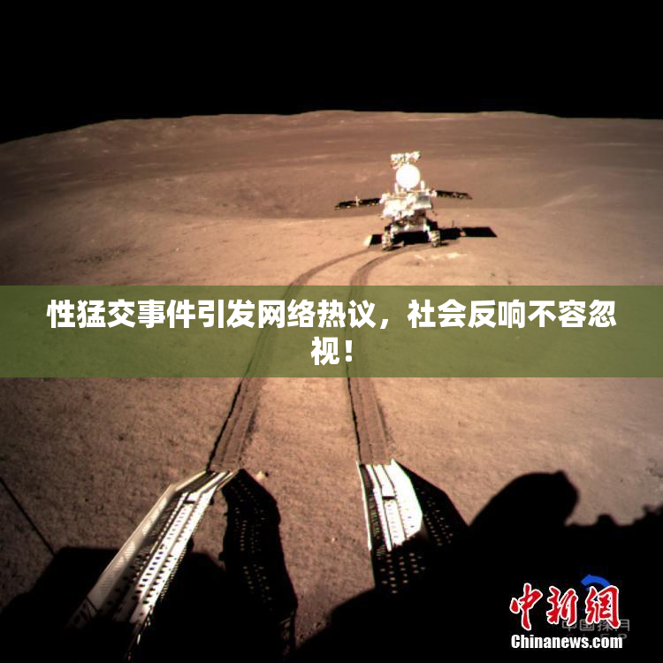 性猛交事件引发网络热议，社会反响不容忽视！
