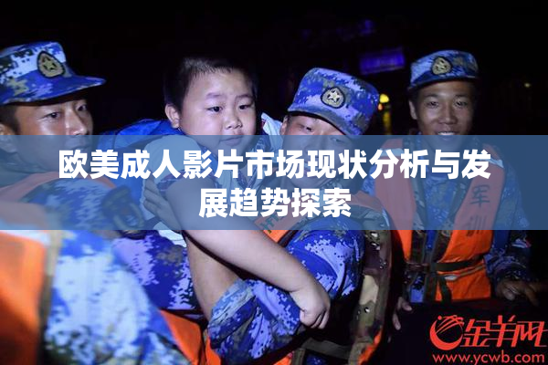欧美成人影片市场现状分析与发展趋势探索