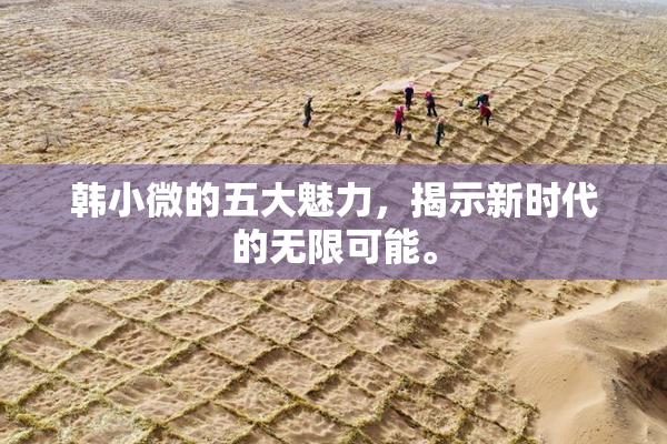 韩小微的五大魅力，揭示新时代的无限可能。