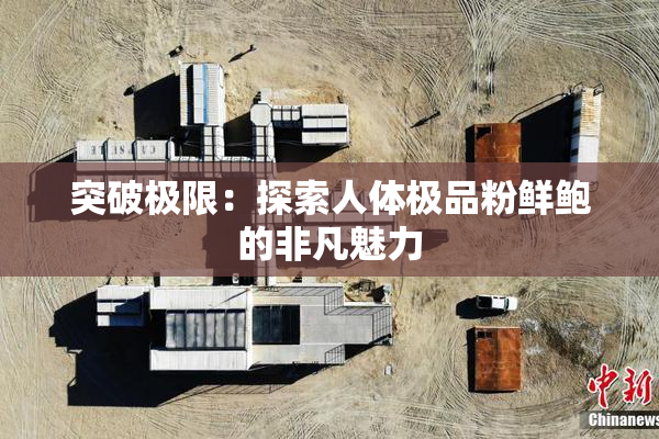 突破极限：探索人体极品粉鲜鲍的非凡魅力