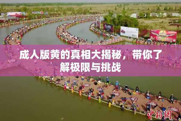 成人版黄的真相大揭秘，带你了解极限与挑战