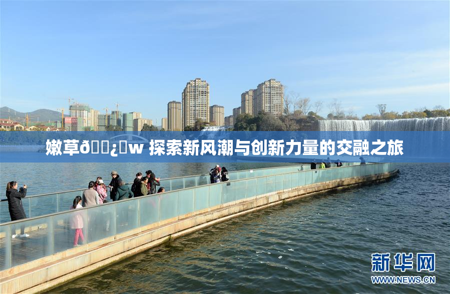 嫩草🌿‌w 探索新风潮与创新力量的交融之旅