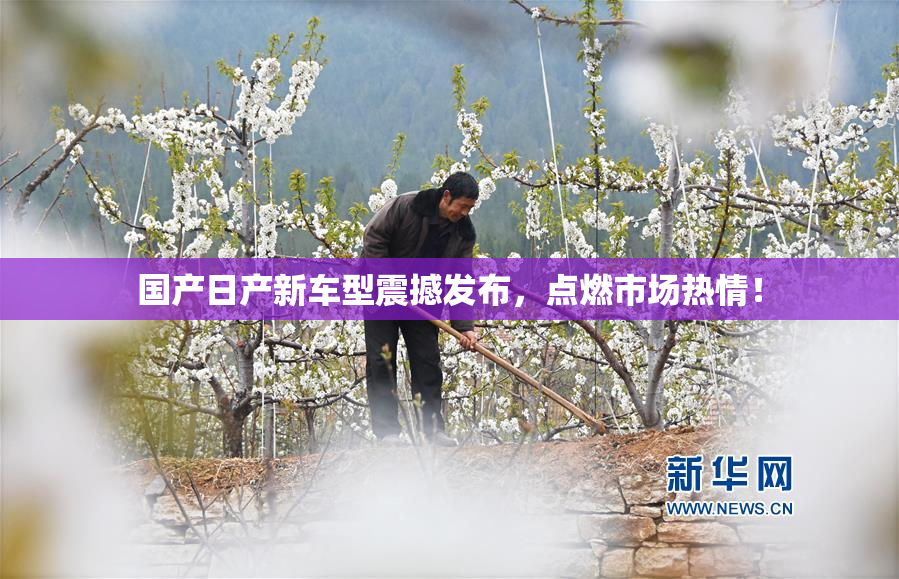 国产日产新车型震撼发布，点燃市场热情！