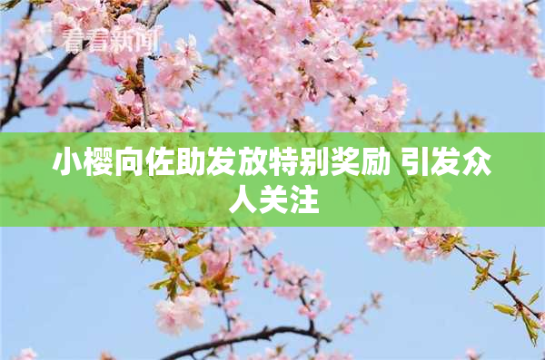 小樱向佐助发放特别奖励 引发众人关注