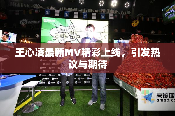 王心凌最新MV精彩上线，引发热议与期待