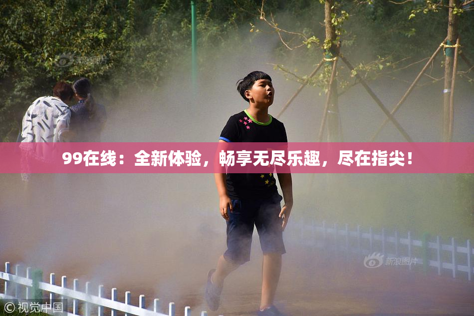 99在线：全新体验，畅享无尽乐趣，尽在指尖！
