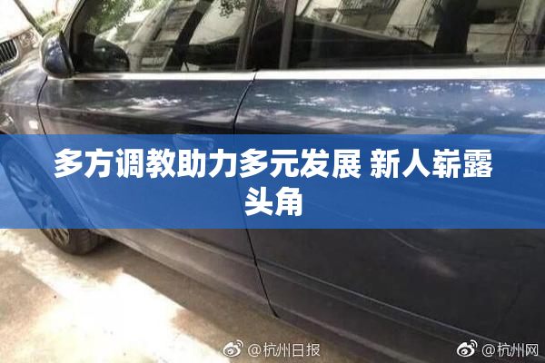 多方调教助力多元发展 新人崭露头角