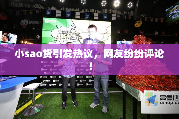 小sao货引发热议，网友纷纷评论！