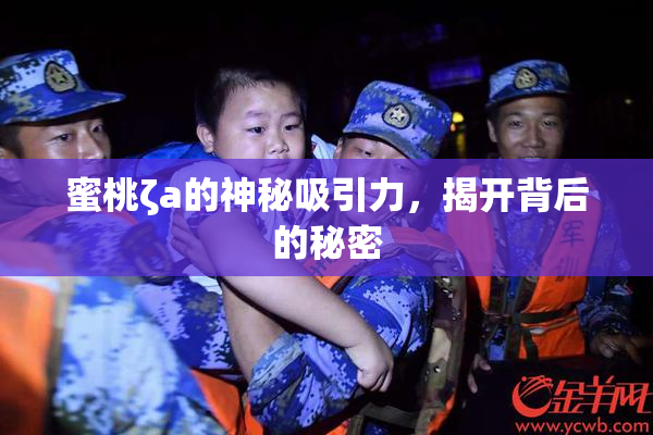 蜜桃ζa的神秘吸引力，揭开背后的秘密