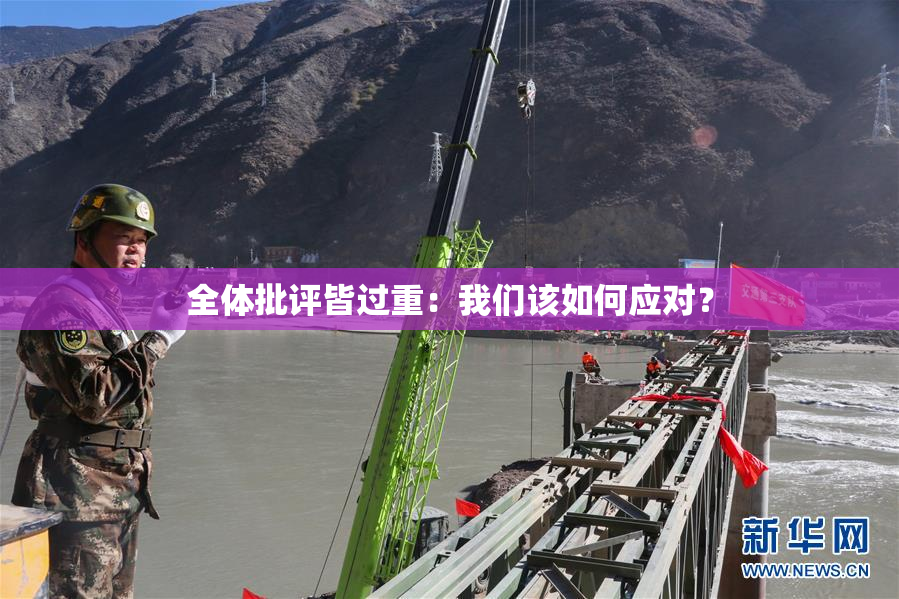 全体批评皆过重：我们该如何应对？