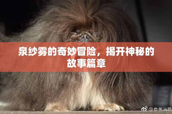 泉纱雾的奇妙冒险，揭开神秘的故事篇章