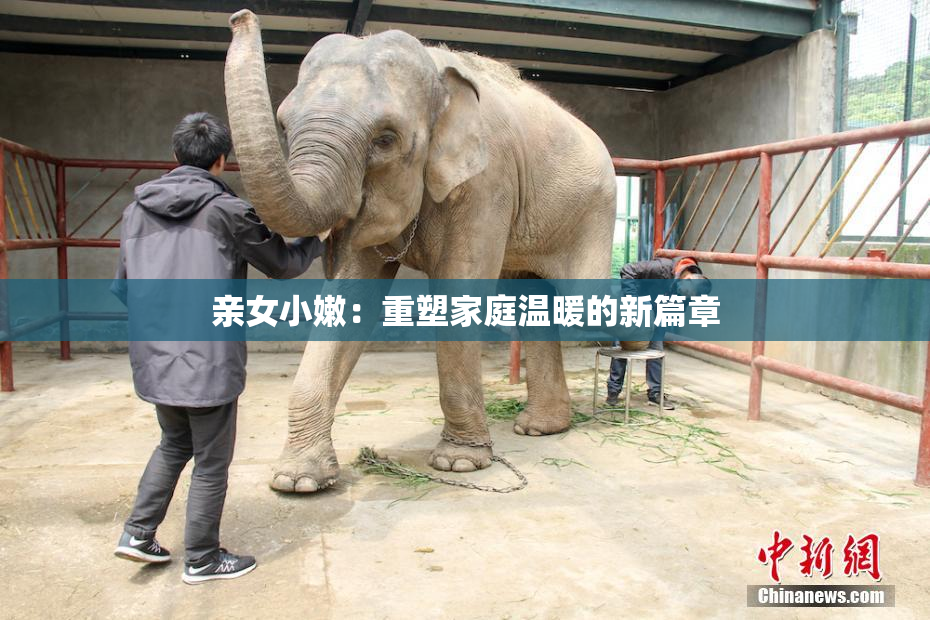 亲女小嫩：重塑家庭温暖的新篇章