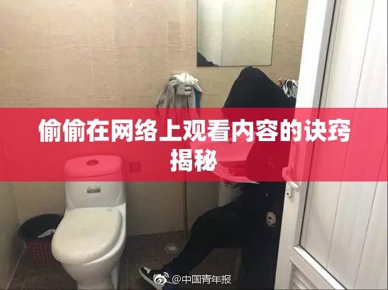 偷偷在网络上观看内容的诀窍揭秘