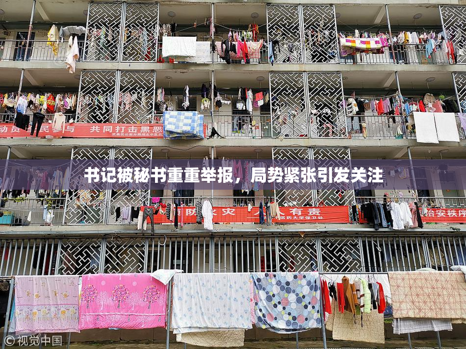书记被秘书重重举报，局势紧张引发关注
