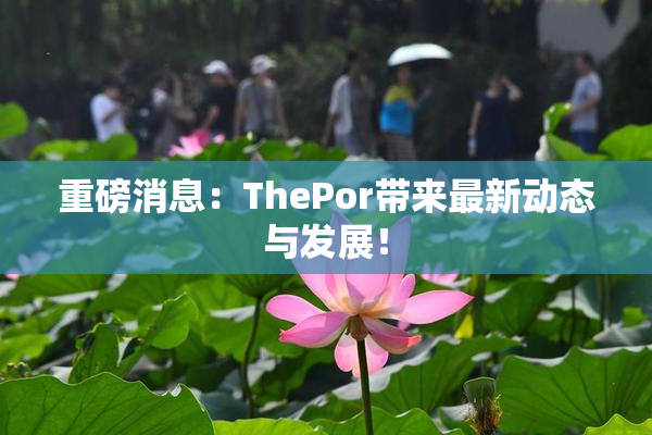 重磅消息：ThePor带来最新动态与发展！