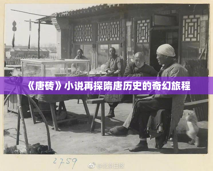 《唐砖》小说再探隋唐历史的奇幻旅程