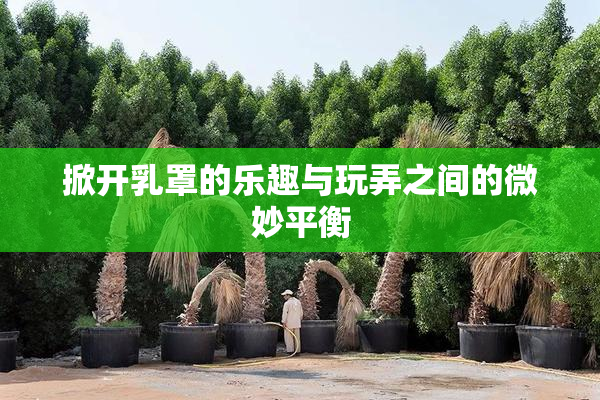 掀开乳罩的乐趣与玩弄之间的微妙平衡