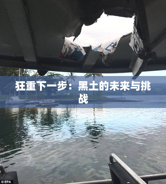 狂重下一步：黑土的未来与挑战