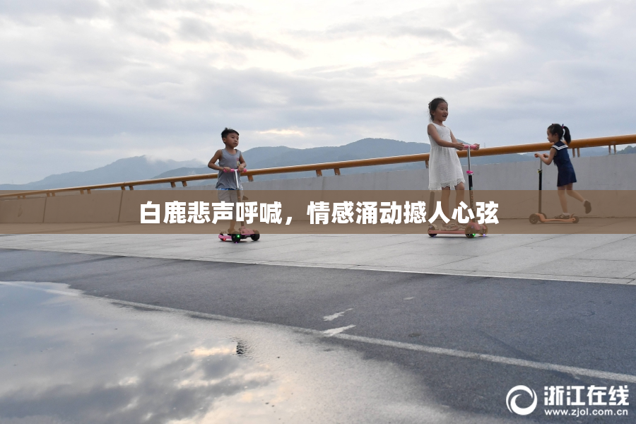 白鹿悲声呼喊，情感涌动撼人心弦