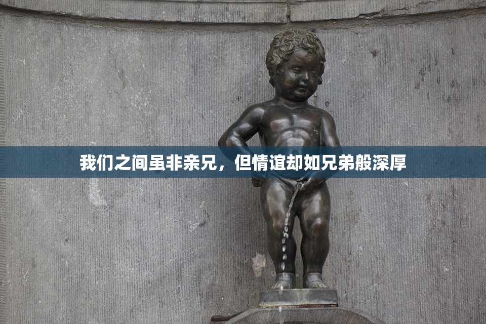 我们之间虽非亲兄，但情谊却如兄弟般深厚