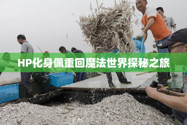 HP化身佩重回魔法世界探秘之旅