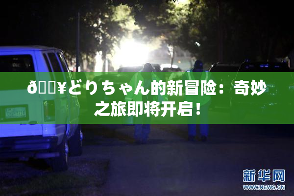 🔥どりちゃん的新冒险：奇妙之旅即将开启！