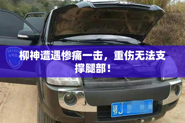 柳神遭遇惨痛一击，重伤无法支撑腿部！