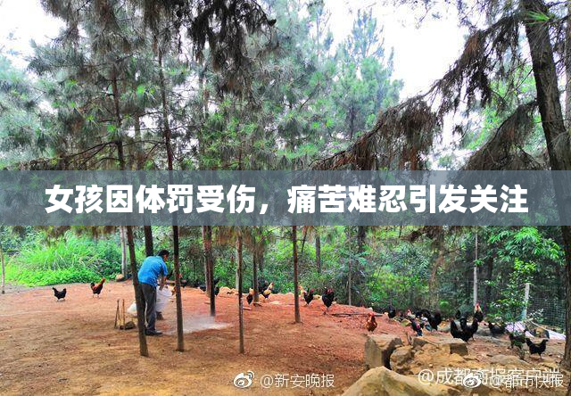 女孩因体罚受伤，痛苦难忍引发关注