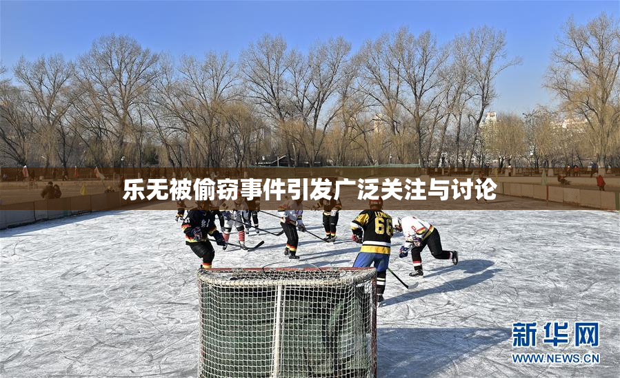 乐无被偷窃事件引发广泛关注与讨论