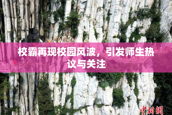 校霸再现校园风波，引发师生热议与关注