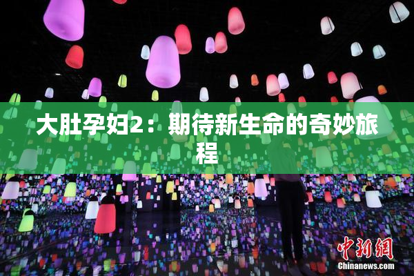 大肚孕妇2：期待新生命的奇妙旅程
