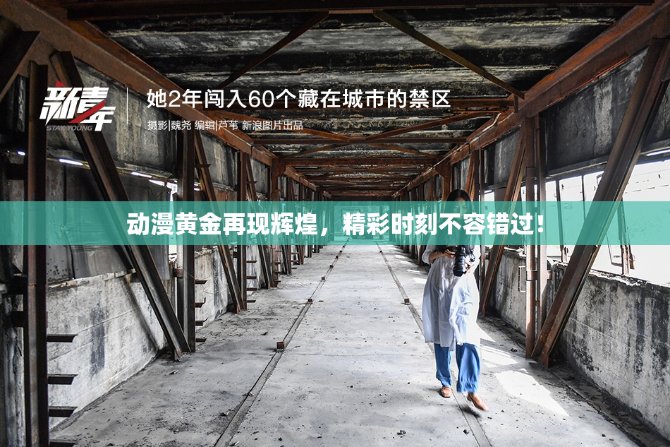 动漫黄金再现辉煌，精彩时刻不容错过！