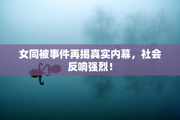 女同被事件再揭真实内幕，社会反响强烈！