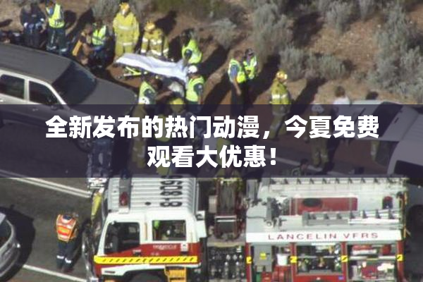 全新发布的热门动漫，今夏免费观看大优惠！