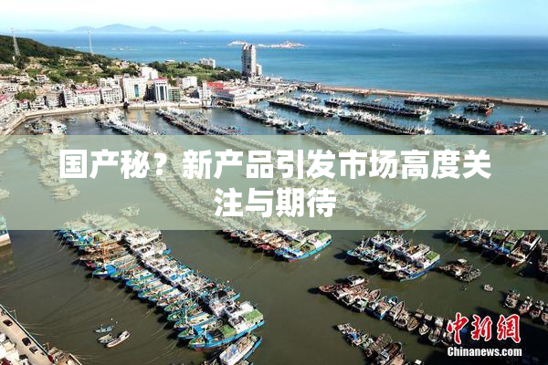 国产秘？新产品引发市场高度关注与期待