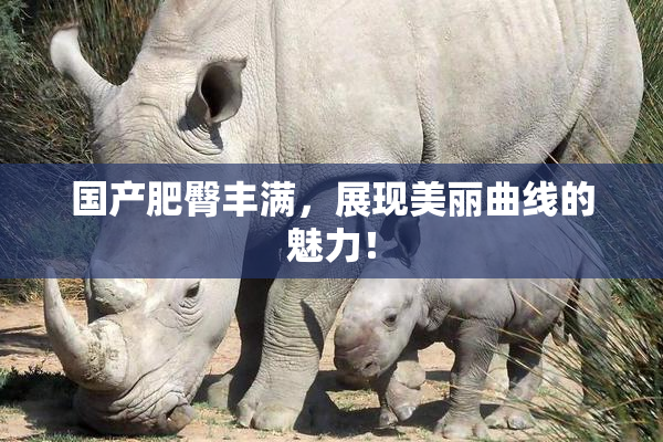 国产肥臀丰满，展现美丽曲线的魅力！