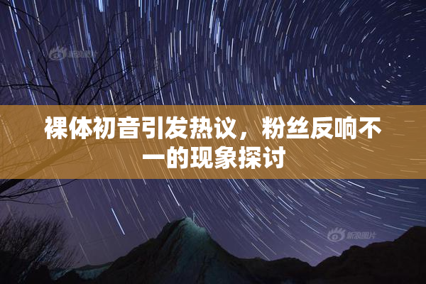 裸体初音引发热议，粉丝反响不一的现象探讨